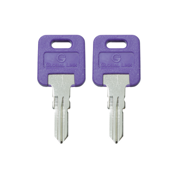 1 Pair (2 Pack) Global Link Precut Keys G301 - G391 RV Trailer Camper Keys
